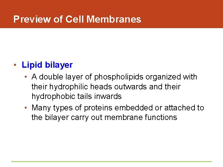 Preview of Cell Membranes • Lipid bilayer • A double layer of phospholipids organized