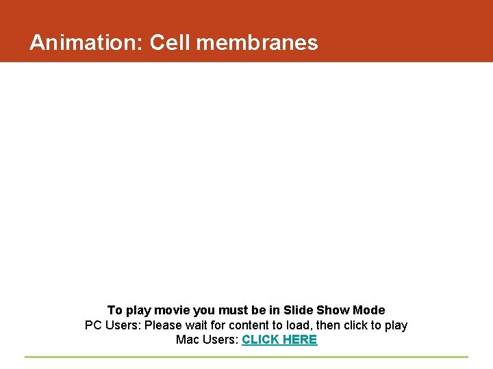 Animation: Cell membranes To play movie you must be in Slide Show Mode PC