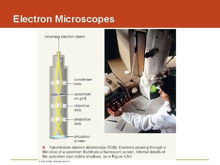 Electron Microscopes 