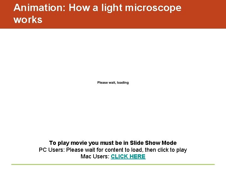 Animation: How a light microscope works To play movie you must be in Slide