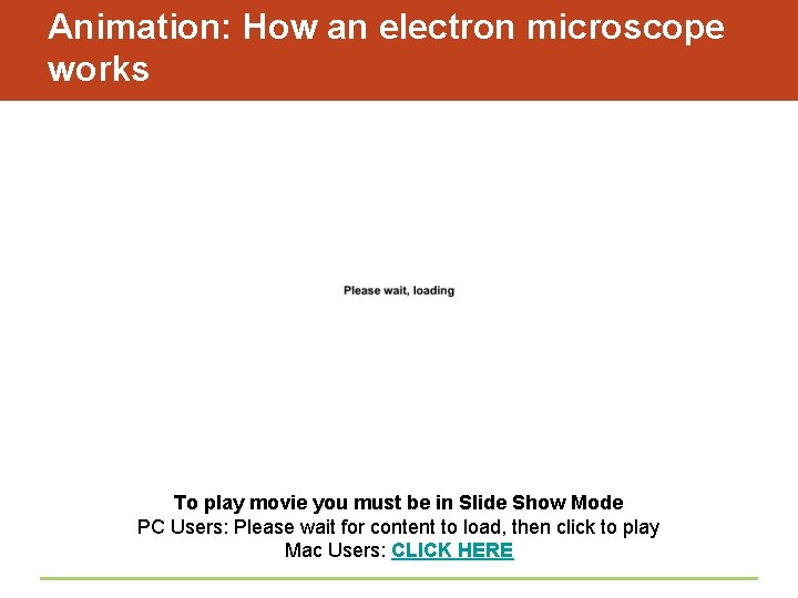 Animation: How an electron microscope works To play movie you must be in Slide