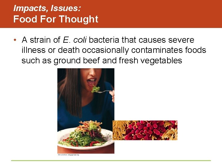 Impacts, Issues: Food For Thought • A strain of E. coli bacteria that causes