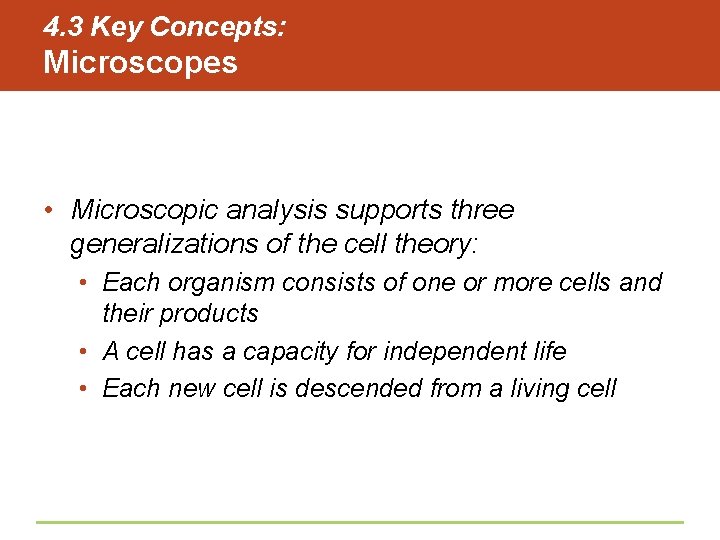 4. 3 Key Concepts: Microscopes • Microscopic analysis supports three generalizations of the cell