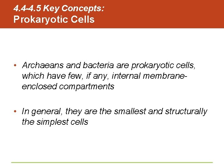 4. 4 -4. 5 Key Concepts: Prokaryotic Cells • Archaeans and bacteria are prokaryotic