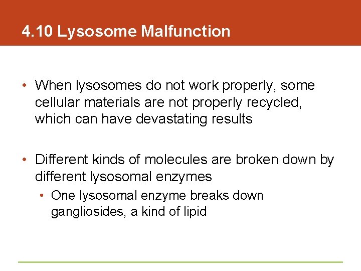 4. 10 Lysosome Malfunction • When lysosomes do not work properly, some cellular materials