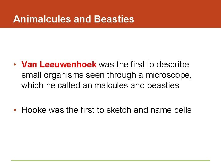 Animalcules and Beasties • Van Leeuwenhoek was the first to describe small organisms seen