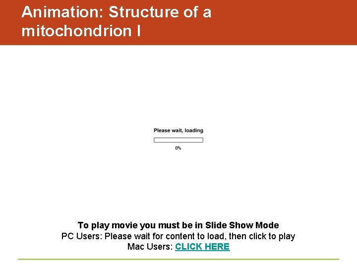 Animation: Structure of a mitochondrion I To play movie you must be in Slide