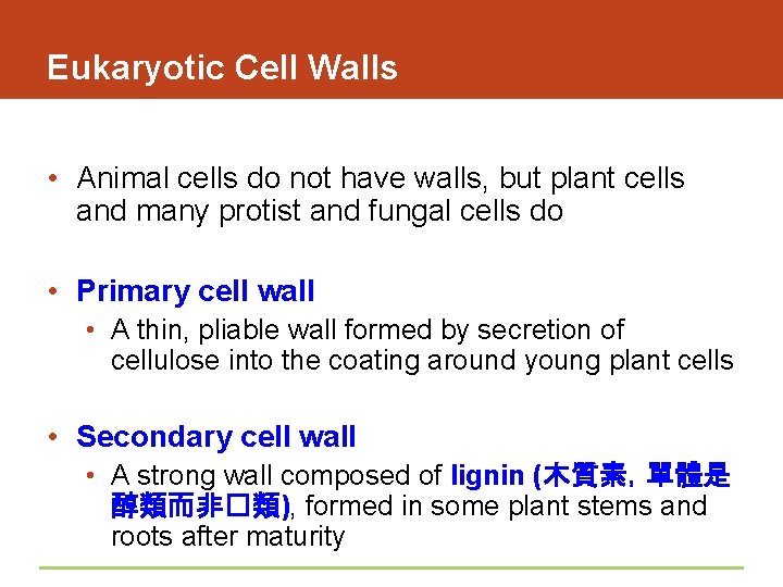 Eukaryotic Cell Walls • Animal cells do not have walls, but plant cells and