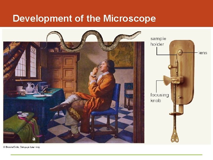 Development of the Microscope 