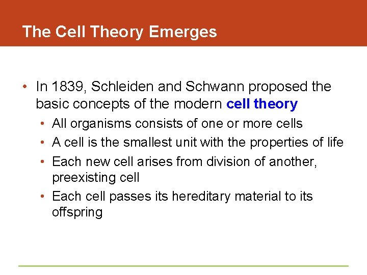 The Cell Theory Emerges • In 1839, Schleiden and Schwann proposed the basic concepts