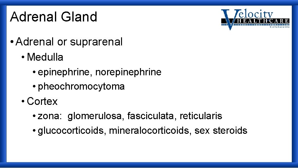 Adrenal Gland • Adrenal or suprarenal • Medulla • epinephrine, norepinephrine • pheochromocytoma •