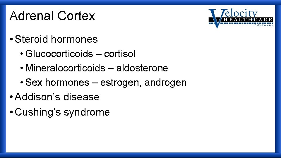 Adrenal Cortex • Steroid hormones • Glucocorticoids – cortisol • Mineralocorticoids – aldosterone •