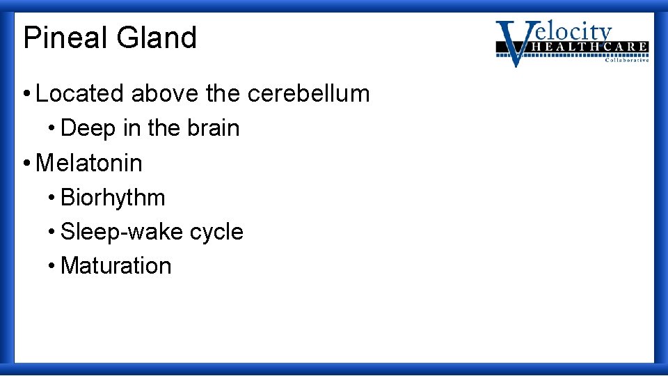 Pineal Gland • Located above the cerebellum • Deep in the brain • Melatonin