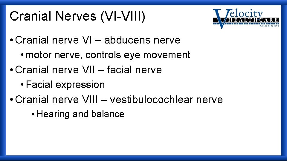 Cranial Nerves (VI-VIII) • Cranial nerve VI – abducens nerve • motor nerve, controls