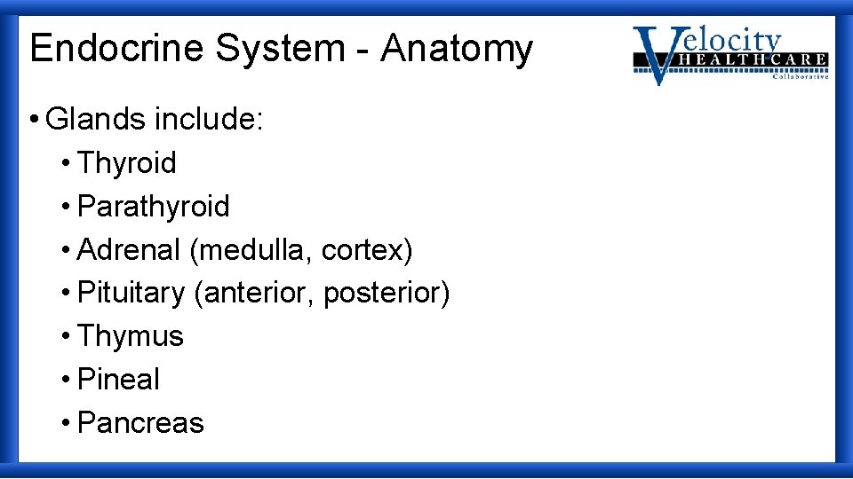 Endocrine System - Anatomy • Glands include: • Thyroid • Parathyroid • Adrenal (medulla,