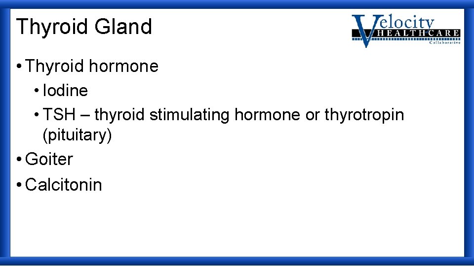 Thyroid Gland • Thyroid hormone • Iodine • TSH – thyroid stimulating hormone or