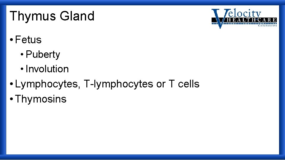 Thymus Gland • Fetus • Puberty • Involution • Lymphocytes, T-lymphocytes or T cells