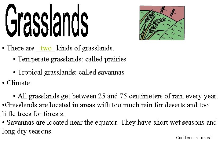  • There are _____ two kinds of grasslands. • Temperate grasslands: called prairies