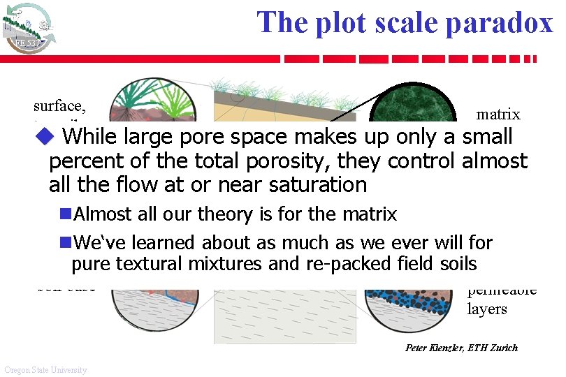 The plot scale paradox FE 537 surface, topsoil matrix u While large pore space