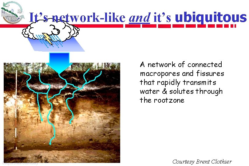 FE 537 It’s network-like and it’s ubiquitous A network of connected macropores and fissures