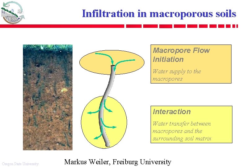 FE 537 Infiltration in macroporous soils Macropore Flow Initiation Water supply to the macropores