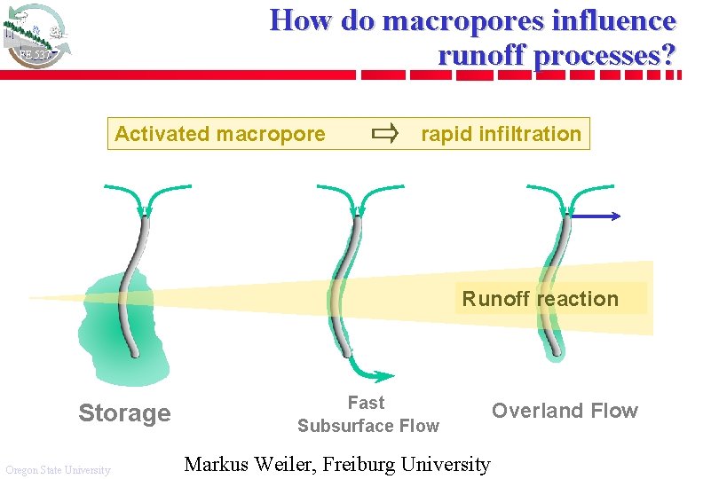 How do macropores influence runoff processes? FE 537 Activated macropore rapid infiltration Runoff reaction