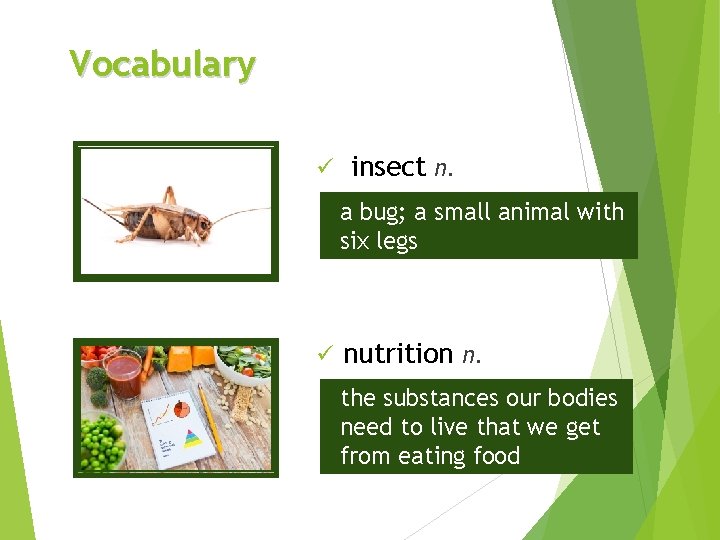 Vocabulary ü insect n. a bug; a small animal with six legs ü nutrition