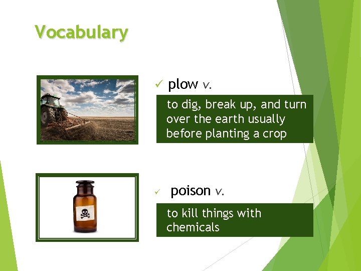 Vocabulary ü plow v. to dig, break up, and turn over the earth usually