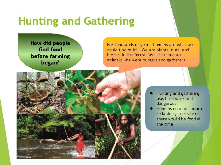 Hunting and Gathering How did people find food before farming began? For thousands of