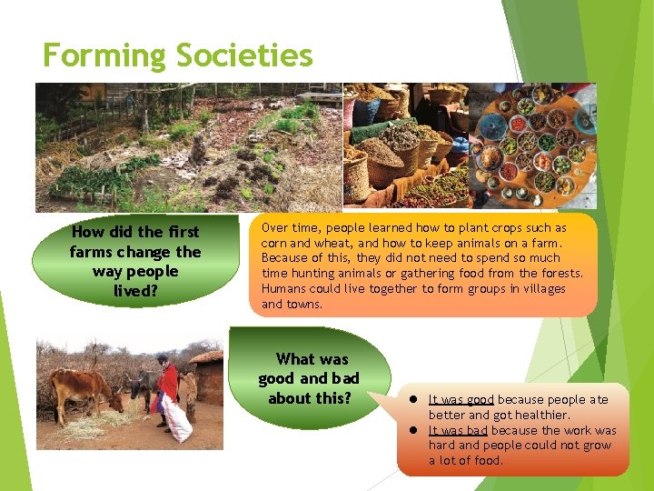 Forming Societies How did the first farms change the way people lived? Over time,