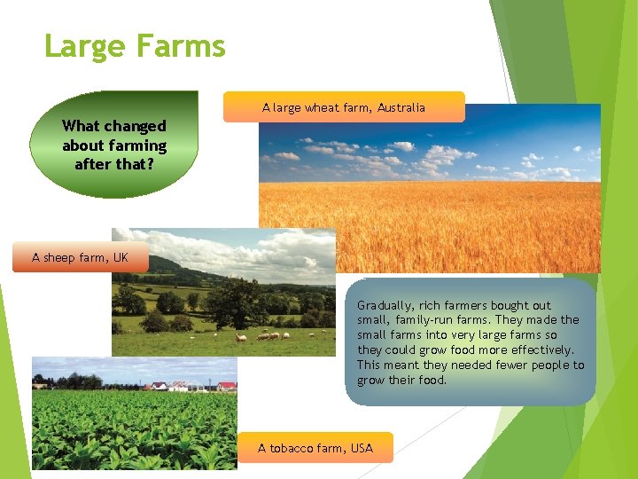 Large Farms A large wheat farm, Australia What changed about farming after that? A