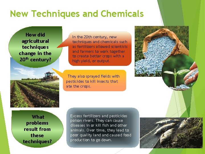 New Techniques and Chemicals How did agricultural techniques change in the 20 th century?