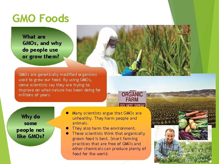 GMO Foods What are GMOs, and why do people use or grow them? GMOs