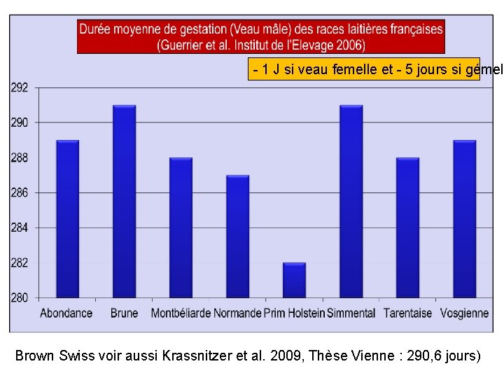 - 1 J si veau femelle et - 5 jours si gémell Brown Swiss