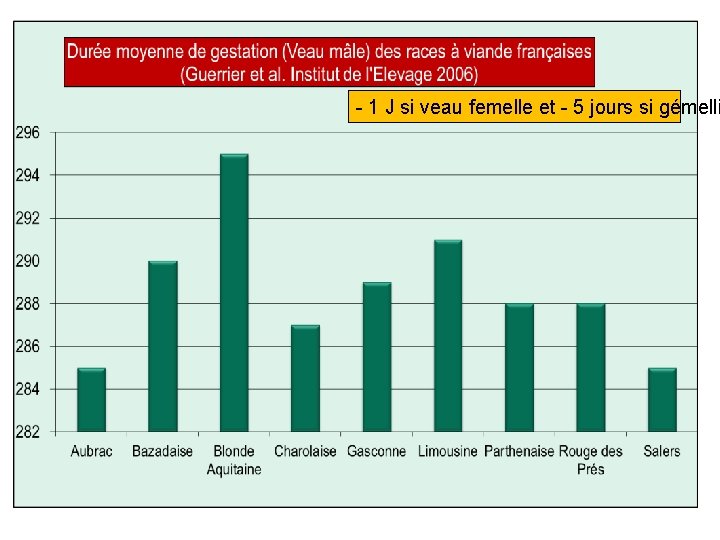 - 1 J si veau femelle et - 5 jours si gémelli 