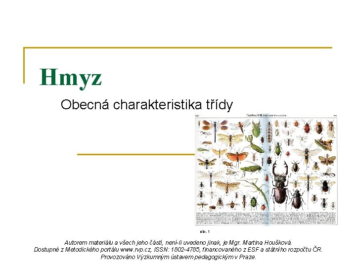 Hmyz Obecná charakteristika třídy obr. 1 Autorem materiálu a všech jeho částí, není-li uvedeno