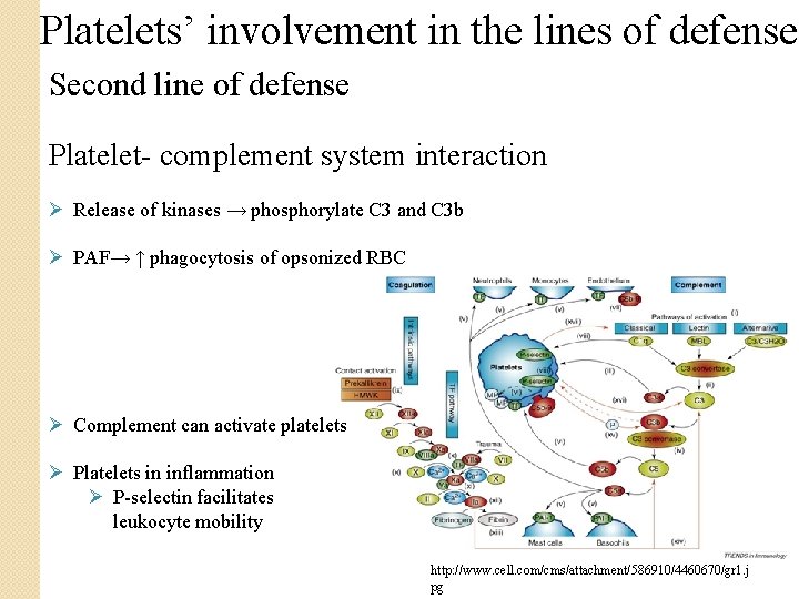 Platelets’ involvement in the lines of defense Second line of defense Platelet- complement system