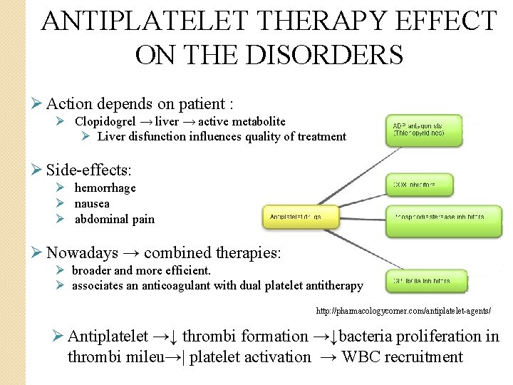ANTIPLATELET THERAPY EFFECT ON THE DISORDERS Ø Action depends on patient : Ø Clopidogrel