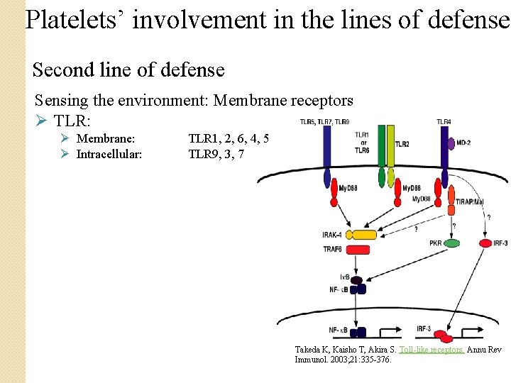 Platelets’ involvement in the lines of defense Second line of defense Sensing the environment: