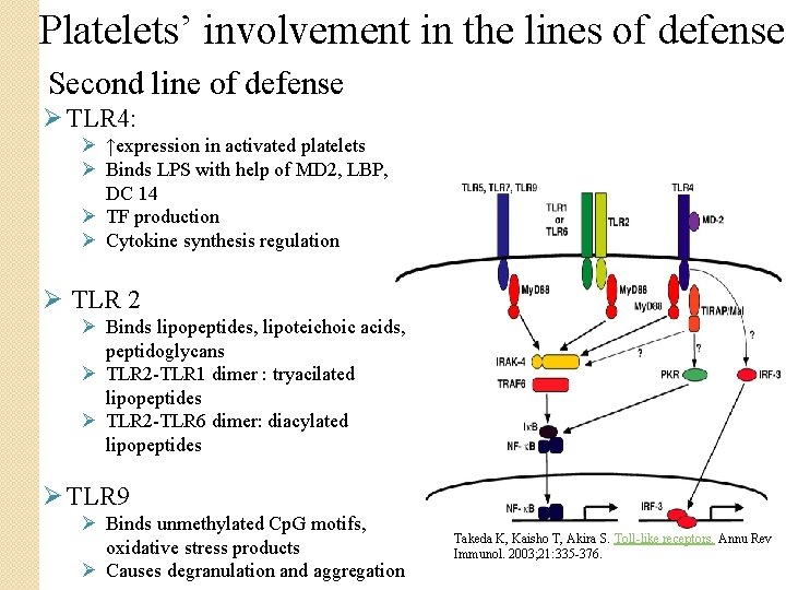 Platelets’ involvement in the lines of defense Second line of defense Ø TLR 4: