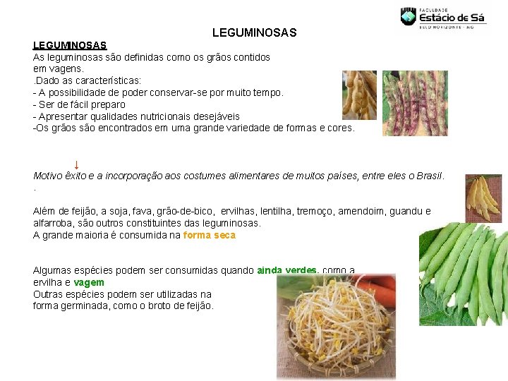 LEGUMINOSAS As leguminosas são definidas como os grãos contidos em vagens. . Dado as