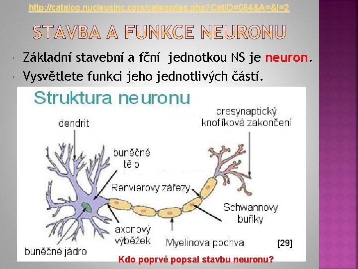 http: //catalog. nucleusinc. com/categories. php? Cat. ID=064&A=&I=2 Základní stavební a fční jednotkou NS je