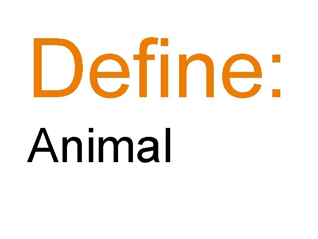 Define: Animal 