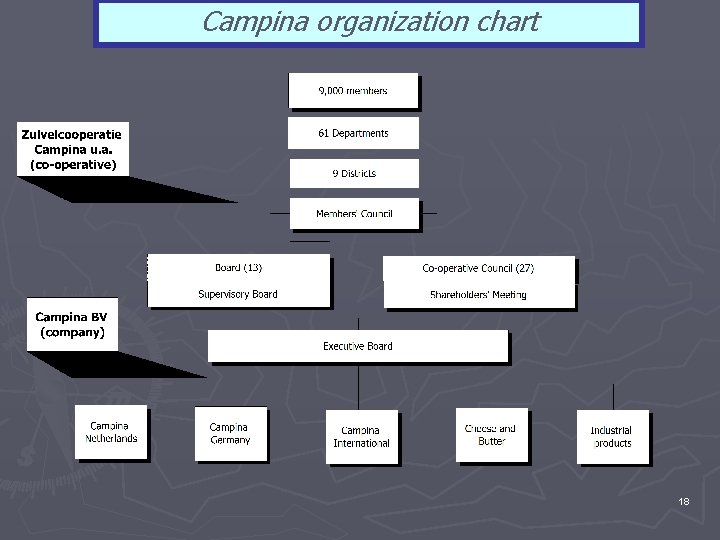 Campina organization chart 18 