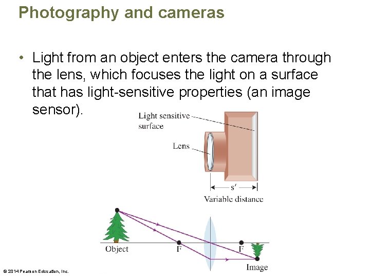 Photography and cameras • Light from an object enters the camera through the lens,