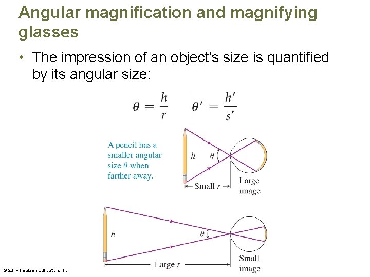 Angular magnification and magnifying glasses • The impression of an object's size is quantified