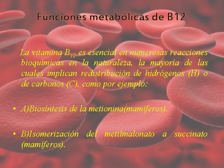 Funciones metabólicas de B 12 La vitamina B 12 es esencial en numerosas reacciones Funciones metabólicas de B 12 La vitamina B 12 es esencial en numerosas reacciones