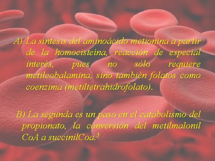 A) La síntesis del aminoácido metionina a partir de la homocisteína, reacción de especial A) La síntesis del aminoácido metionina a partir de la homocisteína, reacción de especial