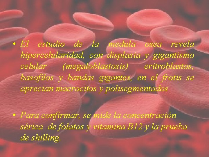 • El estudio de la medula osea revela hipercelularidad, con displasia y gigantismo • El estudio de la medula osea revela hipercelularidad, con displasia y gigantismo