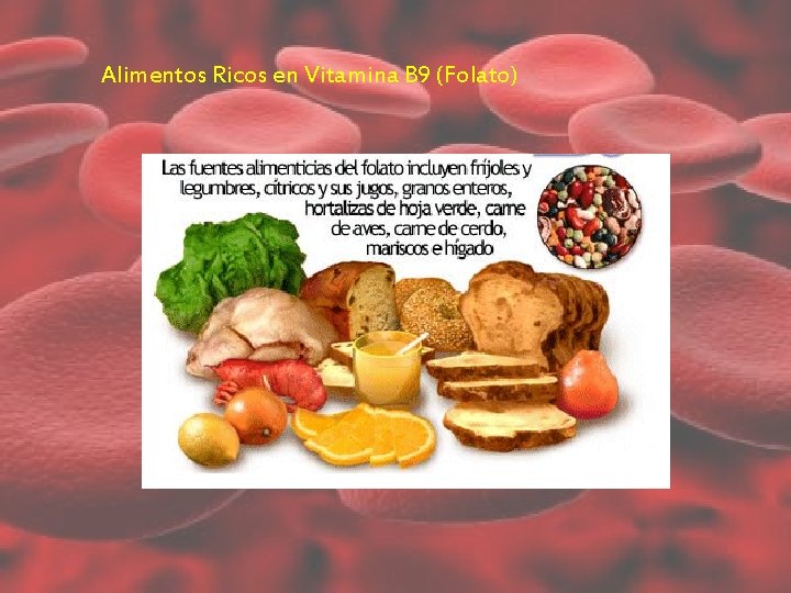 Alimentos Ricos en Vitamina B 9 (Folato) Alimentos Ricos en Vitamina B 9 (Folato)